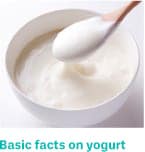 Basic facts on yogurt